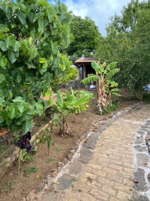 Rural House To Take A Break, La Serreria 25 - Private Garden Tacoronte Extérieur photo