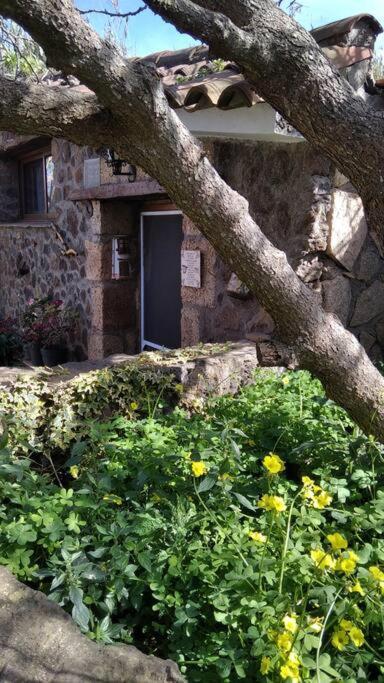 Rural House To Take A Break, La Serreria 25 - Private Garden Tacoronte Extérieur photo