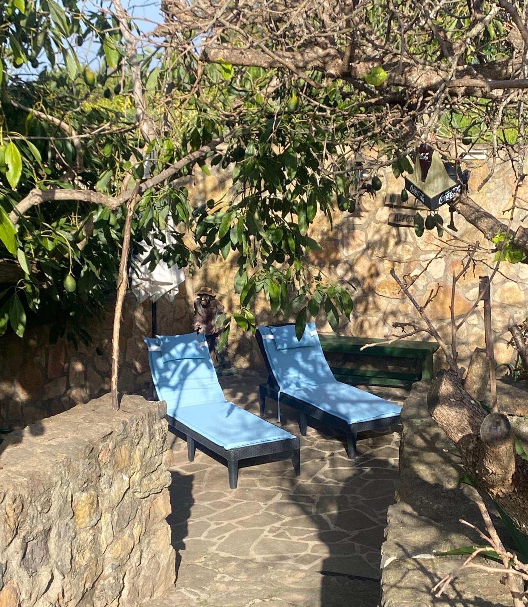 Rural House To Take A Break, La Serreria 25 - Private Garden Tacoronte Extérieur photo
