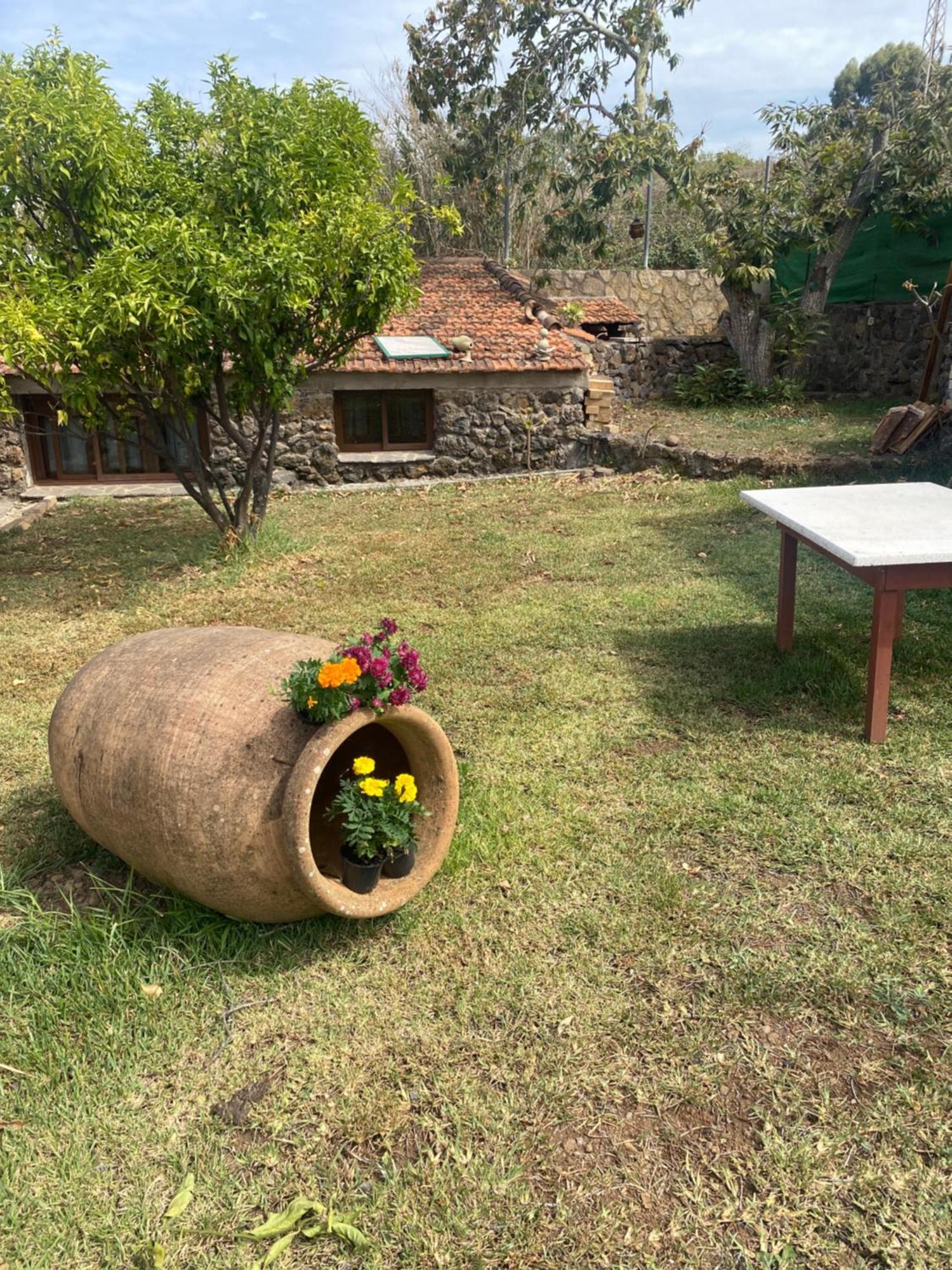 Rural House To Take A Break, La Serreria 25 - Private Garden Tacoronte Extérieur photo