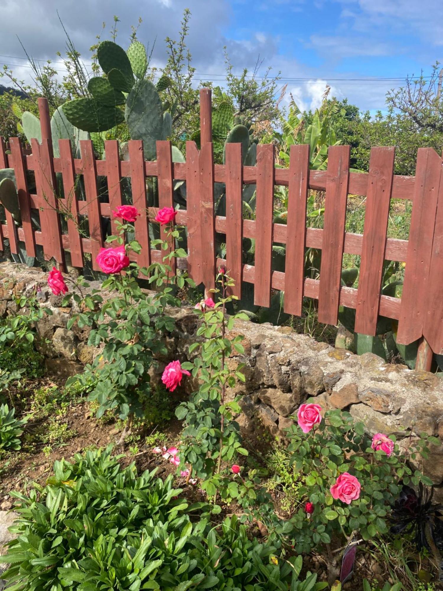 Rural House To Take A Break, La Serreria 25 - Private Garden Tacoronte Extérieur photo