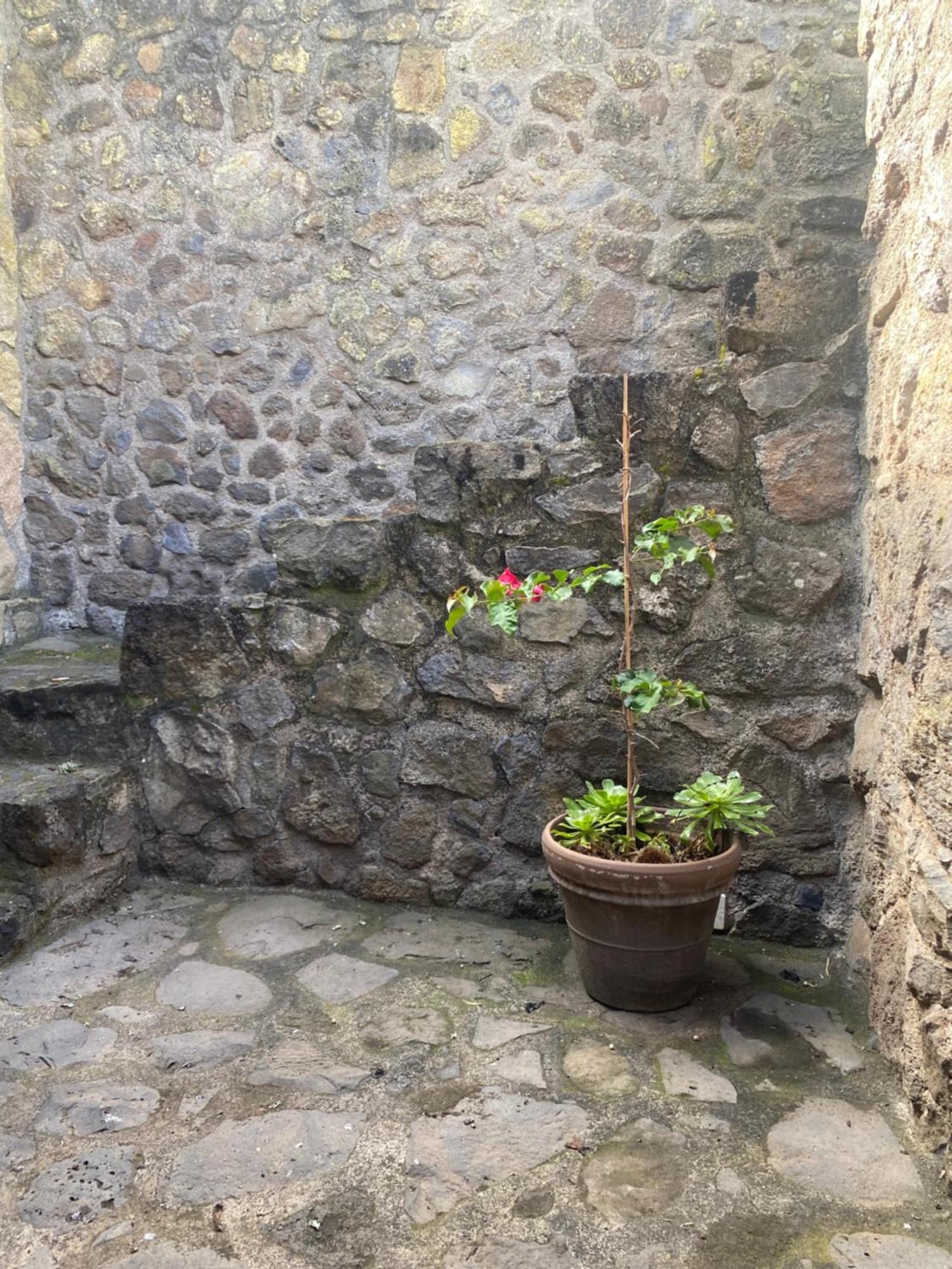 Rural House To Take A Break, La Serreria 25 - Private Garden Tacoronte Extérieur photo