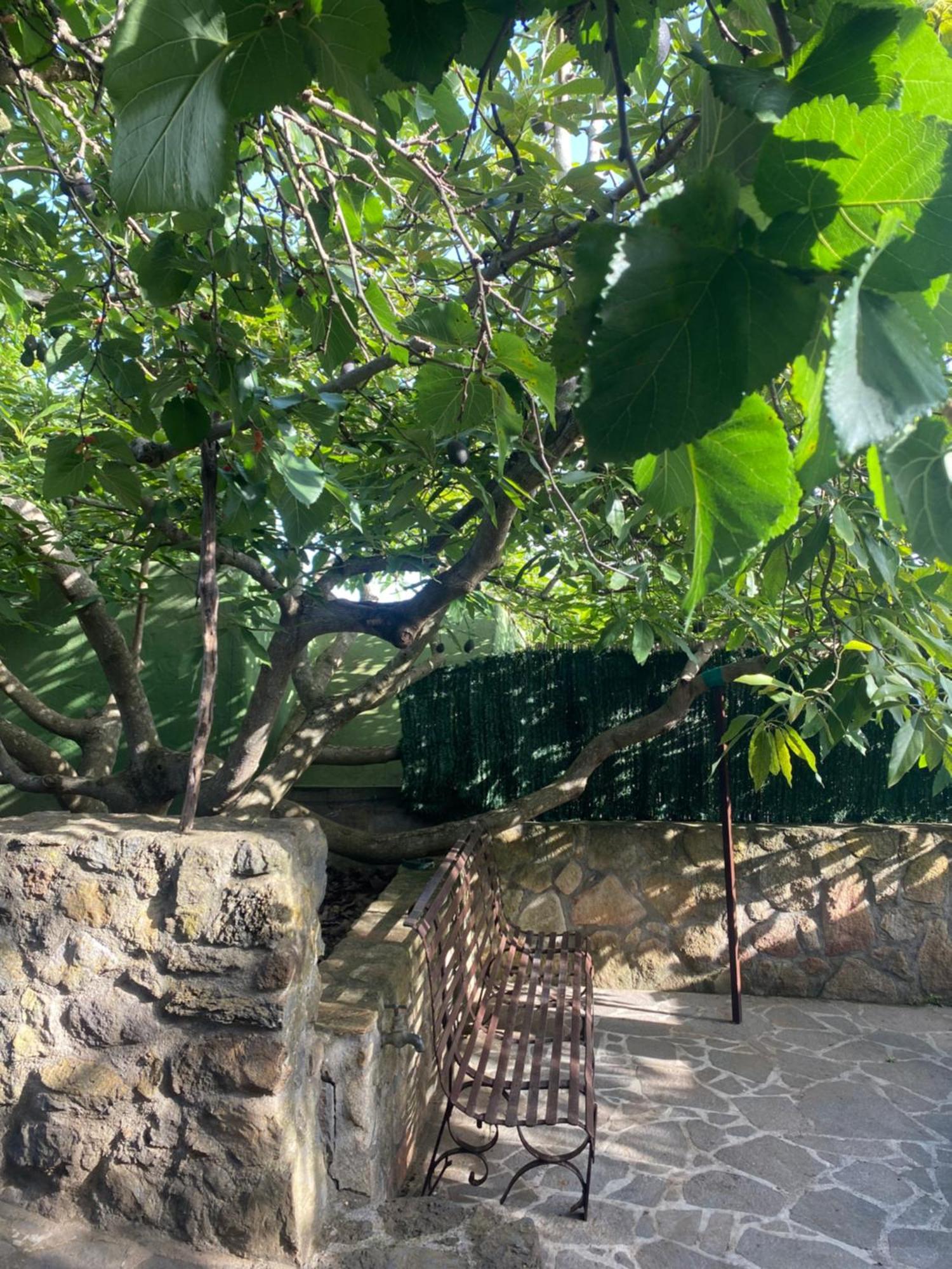 Rural House To Take A Break, La Serreria 25 - Private Garden Tacoronte Extérieur photo